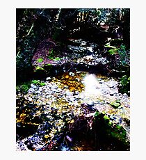 Moss Lake Photographic Print