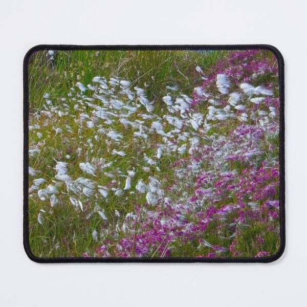 Item preview, Moorland Cotton grass (Eriophorum) designed and sold by Martyn R Arnold Fine Art Nature & Landscape Photography.