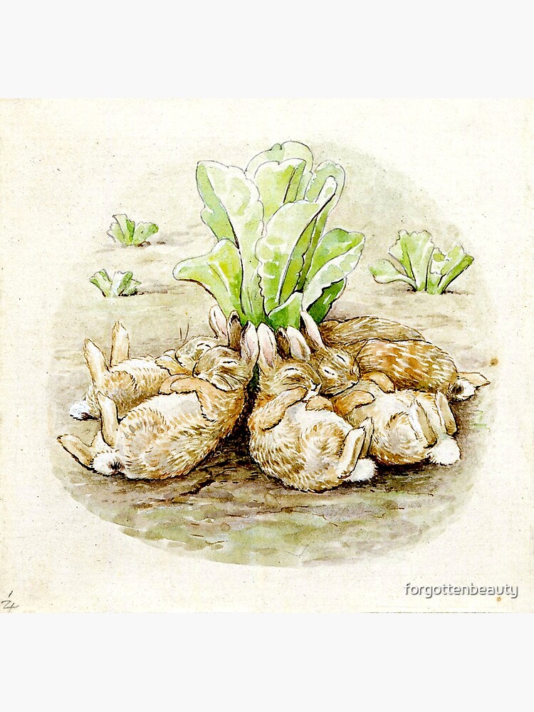 Page 68 of The Tale of the Flopsy Bunnies; Beatrix Potter - Framed