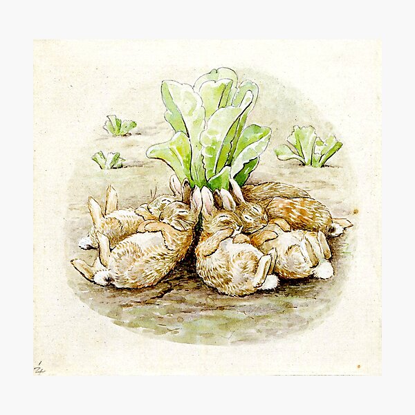 Item preview, The Tale of the Flopsy Bunnies - Beatrix Potter designed and sold by forgottenbeauty.