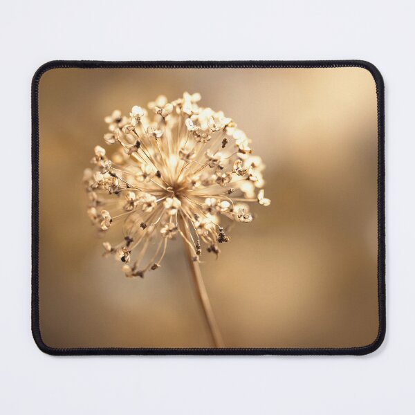 Item preview, A dry ornamental garlic designed and sold by Beabue.