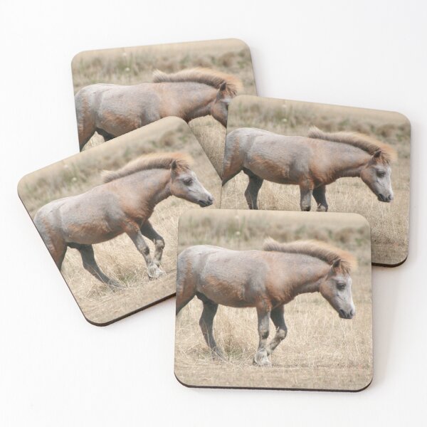Item preview, Pony designed and sold by Calidris Fotografie Steffi & Ben Köppler.