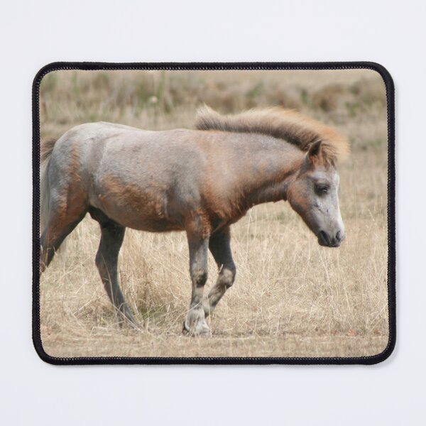 Item preview, Pony designed and sold by Calidris Fotografie Steffi & Ben Köppler.