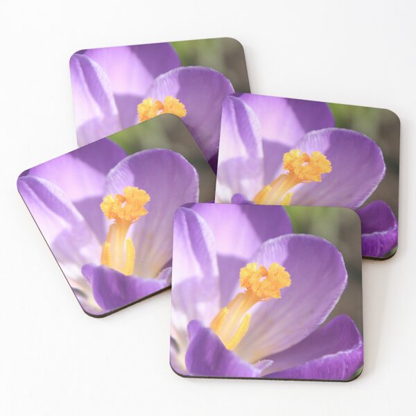 Item preview, Crocus designed and sold by Calidris Fotografie Steffi & Ben Köppler.
