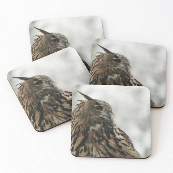 Item preview, Eurasian eagle-owl designed and sold by Calidris Fotografie Steffi & Ben Köppler.