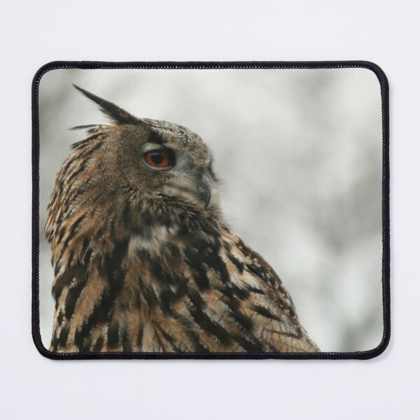 Item preview, Eurasian eagle-owl designed and sold by Calidris Fotografie Steffi & Ben Köppler.