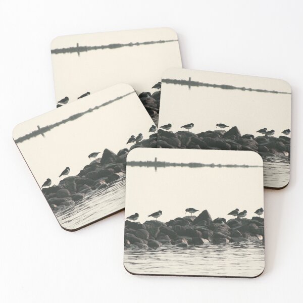 Item preview, Common pied oystercatchers designed and sold by Calidris Fotografie Steffi & Ben Köppler.