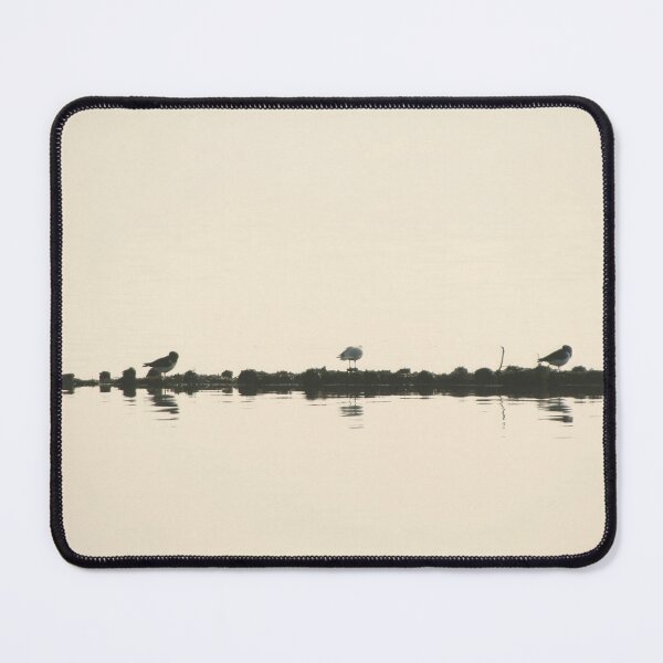 Item preview, Oystercatchers designed and sold by Calidris Fotografie Steffi & Ben Köppler.