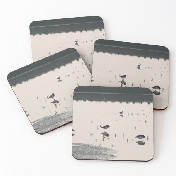 Item preview, Eurasian oystercatchers designed and sold by Calidris Fotografie Steffi & Ben Köppler.