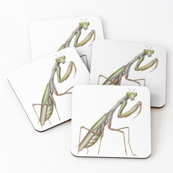 Item preview, Praying Mantis  designed and sold by MagickDragon.