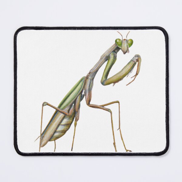 Item preview, Praying Mantis designed and sold by MagickDragon.