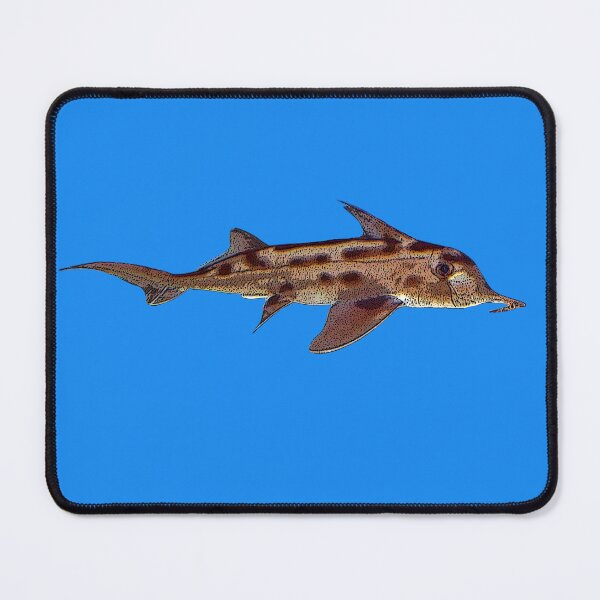 Item preview, Australian Ghostshark Elephant Shark Color Design designed and sold by designsasstultd.