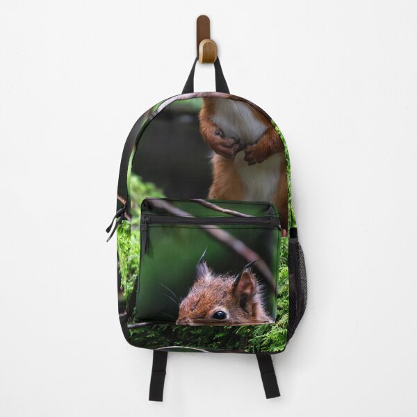 Item preview, Red Squirrel designed and sold by TonyPriestley.