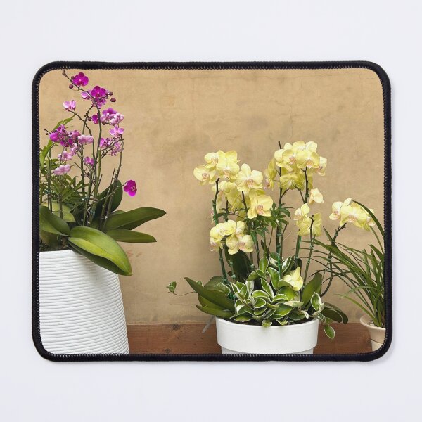 Item preview, Flower Pots Against a Clay Wall - Floral Wall Art designed and sold by YemmyZImages.