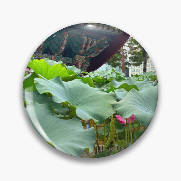 Item preview, Lotus Plants at Jogyesa Temple - South Korea Photographs designed and sold by YemmyZImages.