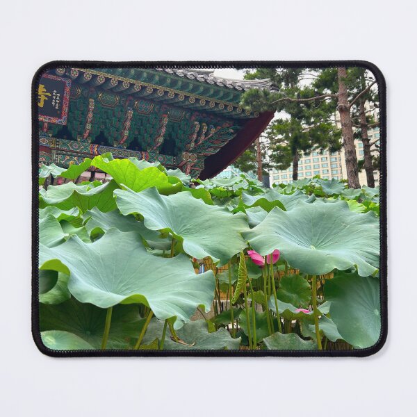 Item preview, Lotus Plants at Jogyesa Temple - South Korea Photographs designed and sold by YemmyZImages.