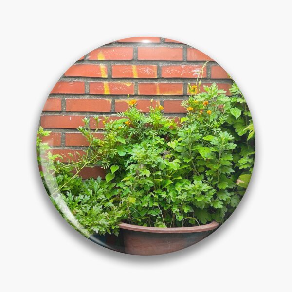 Item preview, Plant Pots Against an Old Brick Wall designed and sold by YemmyZImages.
