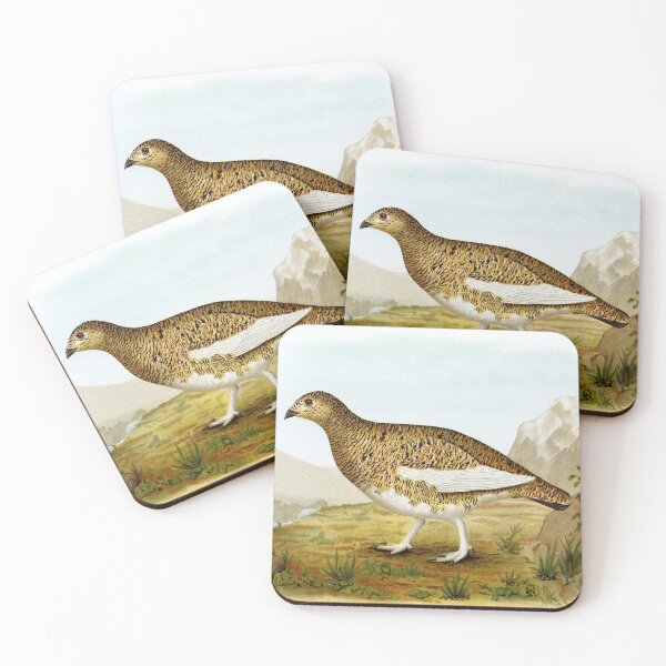 Item preview, Rock Ptarmigan lagopus rupestris atkhensis Bird of Alaska (#2 of 2) Vintage Watercolor Chromolithograph Birdwatching Gift designed and sold by ElegantTeaTime.