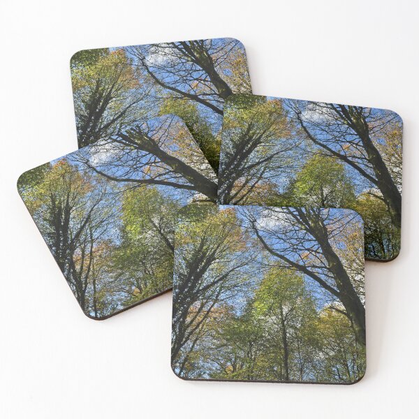 Item preview, Autumn at Fforest Fawr Woods near Tongwynlais  designed and sold by Cameranick.