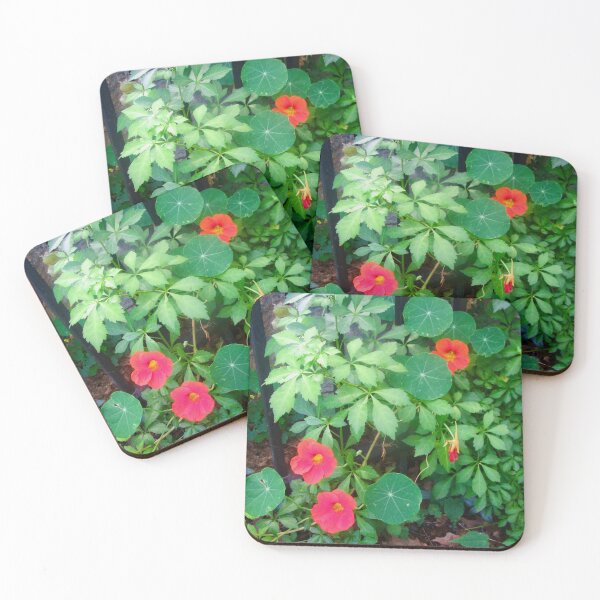 Item preview, Nasturtiums designed and sold by Shulie1.