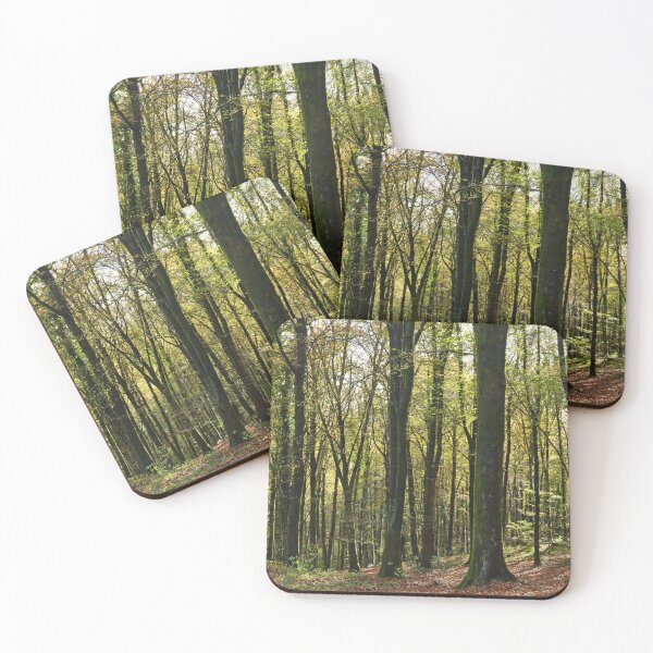 Item preview, Woodlands at Fforest Fawr above Tongwynlais near Cardiff  designed and sold by Cameranick.