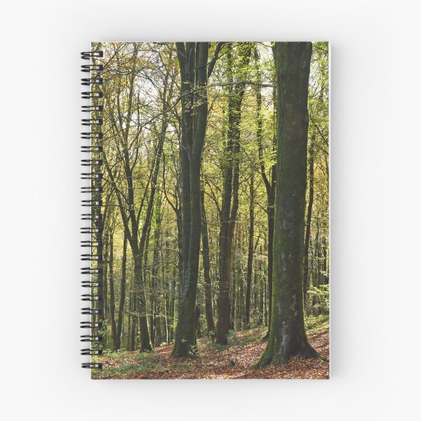 Item preview, Woodlands at Fforest Fawr above Tongwynlais near Cardiff  designed and sold by Cameranick.