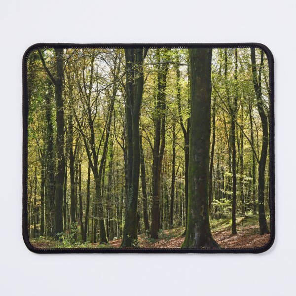 Item preview, Woodlands at Fforest Fawr above Tongwynlais near Cardiff  designed and sold by Cameranick.