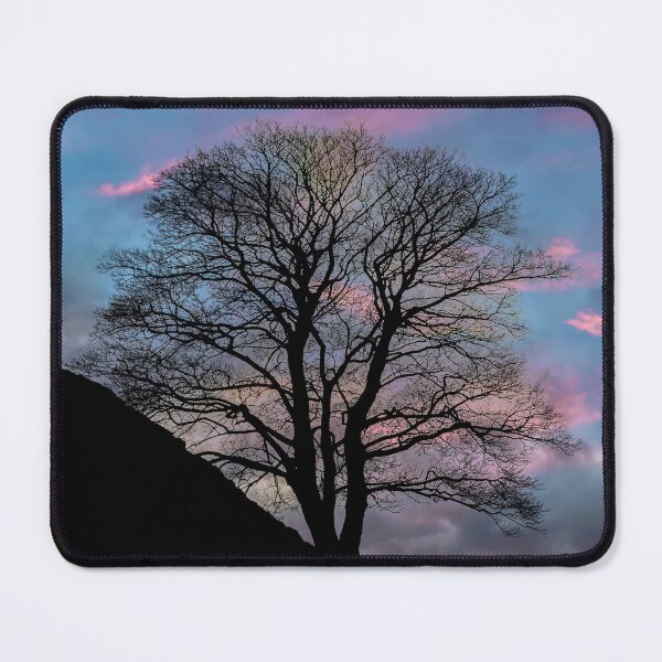 Item preview, Sycamore Gap designed and sold by Reg-K-Atkinson.