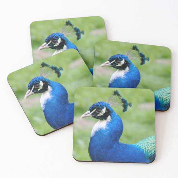 Item preview, Blue Peafowl designed and sold by Calidris Fotografie Steffi & Ben Köppler.