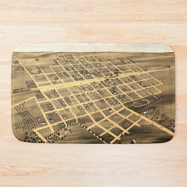 Item preview, Aerial View of Paxton, Illinois (1869) designed and sold by allhistory.