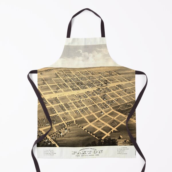 Item preview, Aerial View of Paxton, Illinois (1869) designed and sold by allhistory.