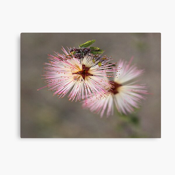 Item preview, Fairy Duster designed and sold by Tammy  (Robison)Espino.