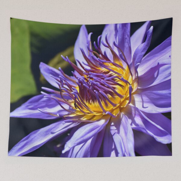 Item preview, Purple Lily designed and sold by okomedesign.