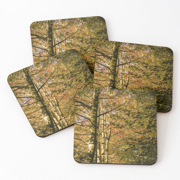 Item preview, Fall mood photography of UK somerset cotswold city Bath in Golden Autumn  designed and sold by Rowena Ko.