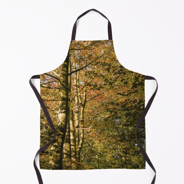 Item preview, Fall mood photography of UK somerset cotswold city Bath in Golden Autumn designed and sold by Rowena Ko.