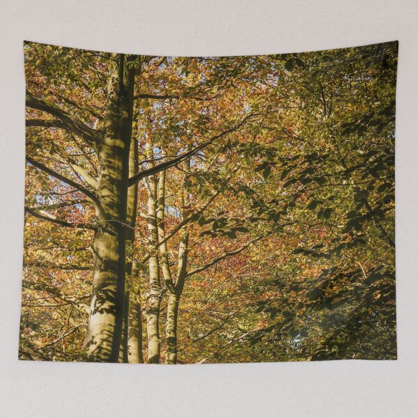 Item preview, Fall mood photography of UK somerset cotswold city Bath in Golden Autumn  designed and sold by Rowena Ko.
