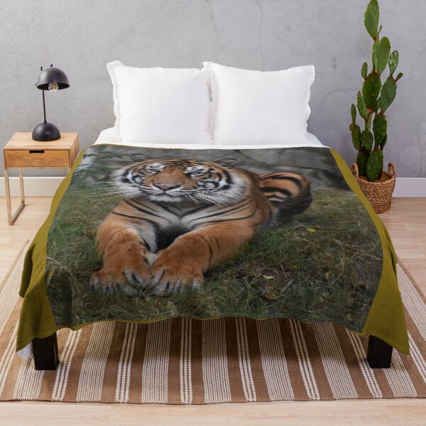 Item preview, Sumatran Tiger designed and sold by Sharon the Zoo Lady Photography .