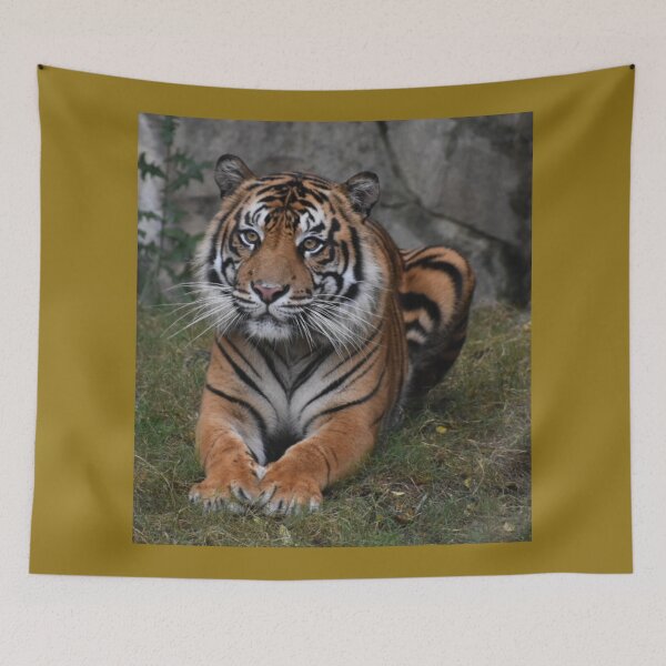 Item preview, Sumatran Tiger  designed and sold by Sharon the Zoo Lady Photography .