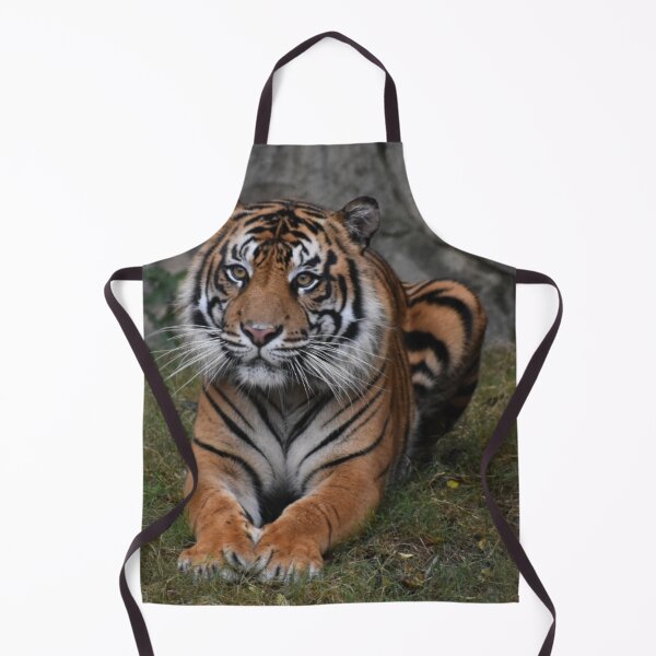 Item preview, Sumatran Tiger  designed and sold by Sharon the Zoo Lady Photography .