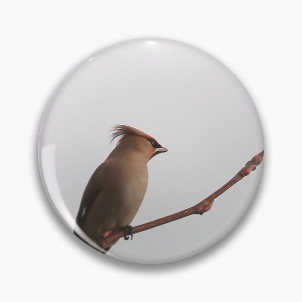 Item preview, Wonderful waxwing designed and sold by miradorpictures.