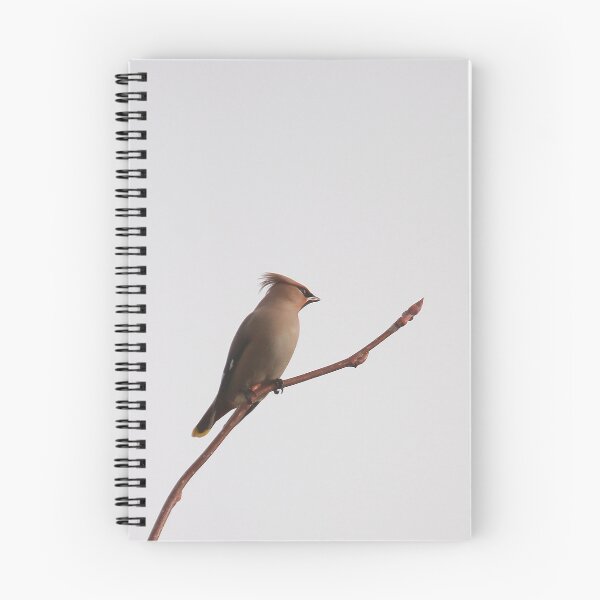 Item preview, Wonderful waxwing designed and sold by miradorpictures.