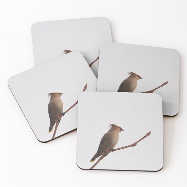 Item preview, Wonderful waxwing designed and sold by miradorpictures.