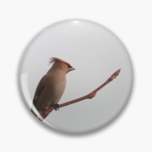 Item preview, Waxy at rest designed and sold by miradorpictures.