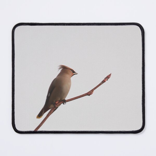 Item preview, Waxy at rest designed and sold by miradorpictures.