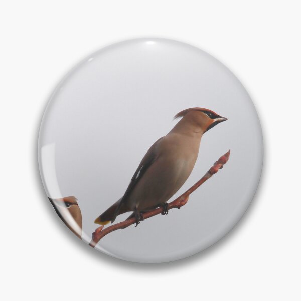 Item preview, Which way designed and sold by miradorpictures.