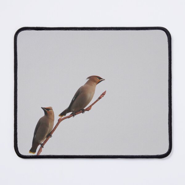 Item preview, Waxy winter designed and sold by miradorpictures.