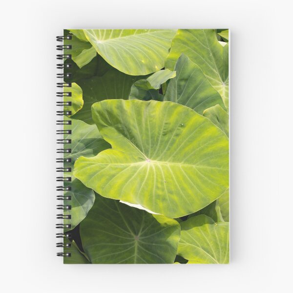 Item preview, Leaves of taro plants, Colocasia esculenta designed and sold by Zosimus.