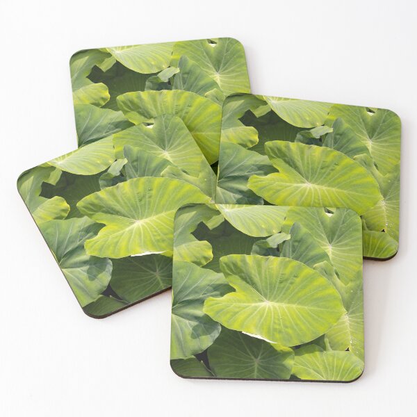 Item preview, Leaves of taro plants, Colocasia esculenta designed and sold by Zosimus.