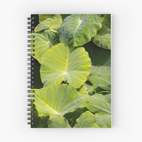 Item preview, Leaves of taro plants, Colocasia esculenta designed and sold by Zosimus.