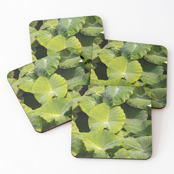 Item preview, Leaves of taro plants, Colocasia esculenta designed and sold by Zosimus.